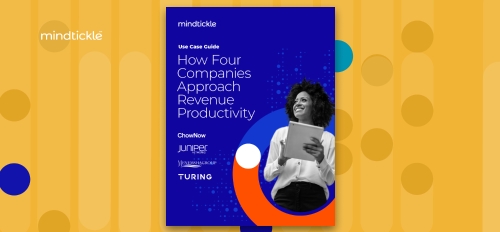 How Four Companies Approach Revenue Productivity