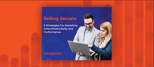 Selling Secrets: 5 Strategies for Elevating Sales Productivity and Performance