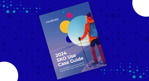 SKO Use Case Guide